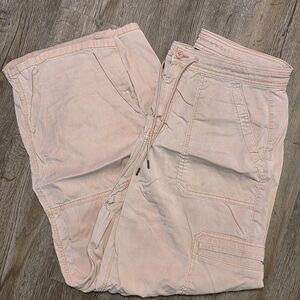 American Eagle Outfitters Blush Cargo Pants